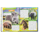 Энциклопедия с раскраской. Аксолотль — фото, картинка — 2