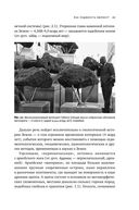 Сотворение Земли. Как живые организмы создали наш мир — фото, картинка — 21