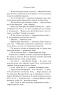 Молния на двоих — фото, картинка — 26