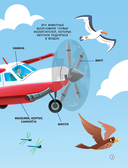 Самолёты — фото, картинка — 13