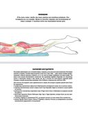 Анатомия фитнеса и силовых упражнений для женщин — фото, картинка — 2
