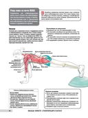 Анатомия фитнеса и силовых упражнений для женщин — фото, картинка — 7