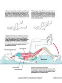 Анатомия фитнеса и силовых упражнений для женщин — фото, картинка — 10