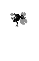 Лягушки — фото, картинка — 1