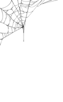 Проклятие усадьбы леди Элизабет — фото, картинка — 2