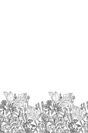 Мне все льзя — фото, картинка — 7