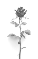 Замок проклятых — фото, картинка — 2