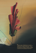 Мирей — фото, картинка — 3