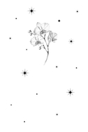 Обняться, чтобы уцелеть — фото, картинка — 2