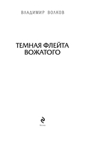 Темная флейта вожатого — фото, картинка — 2