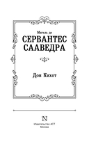 Дон Кихот — фото, картинка — 2