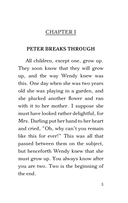 Peter Pan — фото, картинка — 3