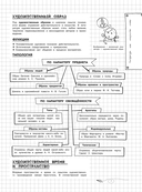 Литература — фото, картинка — 7