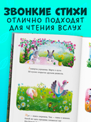 Черничка встречает весну — фото, картинка — 1