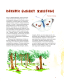 Животные в городе. Где найти и как узнать — фото, картинка — 4