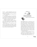 Мёртвая земля — фото, картинка — 9