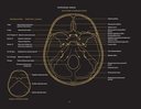 Анатомия в черном. Медицинский атлас для любителей роскоши и стиля — фото, картинка — 11