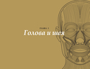 Анатомия в черном. Медицинский атлас для любителей роскоши и стиля — фото, картинка — 6