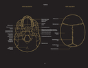 Анатомия в черном. Медицинский атлас для любителей роскоши и стиля — фото, картинка — 10