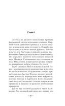 Авантюрист. Железный Ронин — фото, картинка — 3