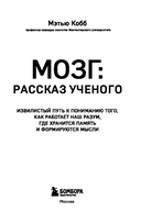 Мозг: рассказ ученого. Извилистый путь к пониманию того, как работает наш разум, где хранится память и формируются мысли — фото, картинка — 3