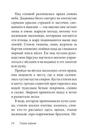 Билл Барсук и пираты — фото, картинка — 21