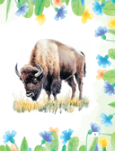 У лясах Белавежы — фото, картинка — 3