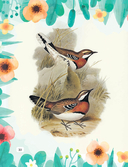 У лясах Белавежы — фото, картинка — 4