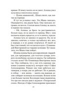 Летчик для Особых Поручений. Возвращение клипера 