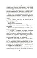 Летчик для Особых Поручений. Возвращение клипера 