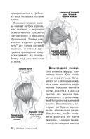 Идеальные мышцы груди и плечевого пояса — фото, картинка — 6
