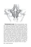 Идеальные мышцы груди и плечевого пояса — фото, картинка — 8