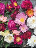 Пионы. Роскошные цветы для дома и сада — фото, картинка — 7