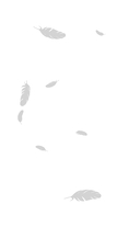 Шолох. Призрачные рощи — фото, картинка — 2