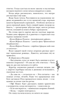 Шолох. Призрачные рощи — фото, картинка — 14