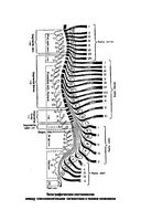 Нервные и психические болезни. Учебное пособие — фото, картинка — 19