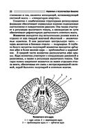 Нервные и психические болезни. Учебное пособие — фото, картинка — 22