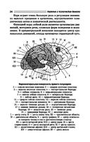 Нервные и психические болезни. Учебное пособие — фото, картинка — 24