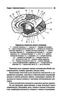 Нервные и психические болезни. Учебное пособие — фото, картинка — 25