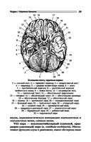 Нервные и психические болезни. Учебное пособие — фото, картинка — 29