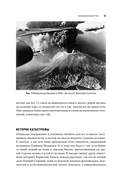 История Земли в 25 камнях. Геологические тайны и люди, их разгадавшие — фото, картинка — 12