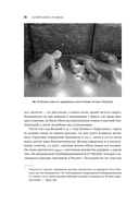 История Земли в 25 камнях. Геологические тайны и люди, их разгадавшие — фото, картинка — 19