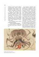 Японские мифы и легенды. Главные предания страны восходящего солнца — фото, картинка — 64