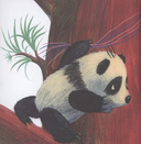 Панда Бамбу и добрые дела — фото, картинка — 3