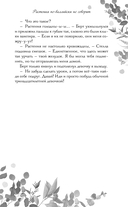 Звездный цветок — фото, картинка — 12