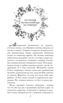 Звездный цветок — фото, картинка — 4