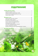 Огурцы. Богатый урожай без ошибок — фото, картинка — 2