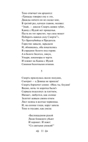 Песня о Буревестнике. Стихотворения и воспоминания — фото, картинка — 9