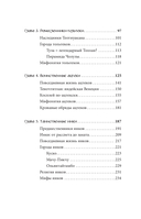 Мифы Центральной и Южной Америки: майя, ацтеки, инки и другие — фото, картинка — 3