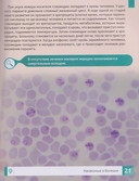 Насекомые — фото, картинка — 2